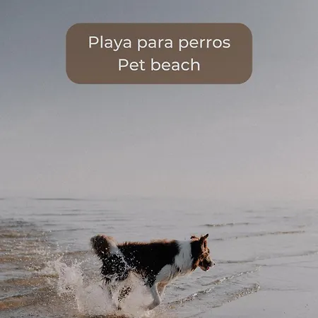 Caramel Cookie - Ac, Desk With Natural Light, 2 Balconies, Wifi And Pool Apartman Corralejo