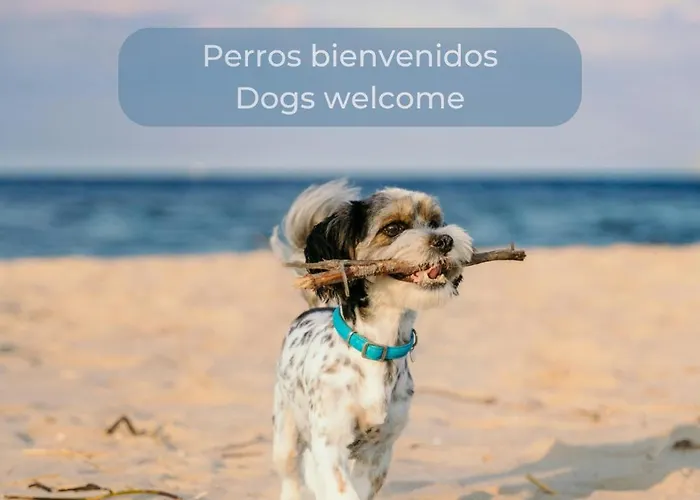 Caramel Cookie - Ac, Desk With Natural Light, 2 Balconies, Wifi And Pool Lägenhet *