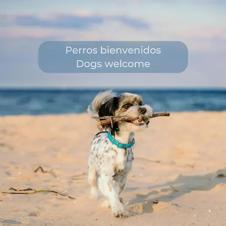 Caramel Cookie - Ac, Desk With Natural Light, 2 Balconies, Wifi And Pool Lägenhet *