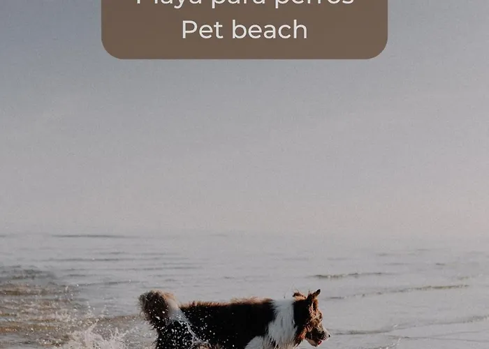 Caramel Cookie - Ac, Desk With Natural Light, 2 Balconies, Wifi And Pool شقة كوراليهو